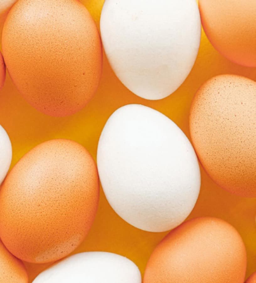 Brown and white table eggs